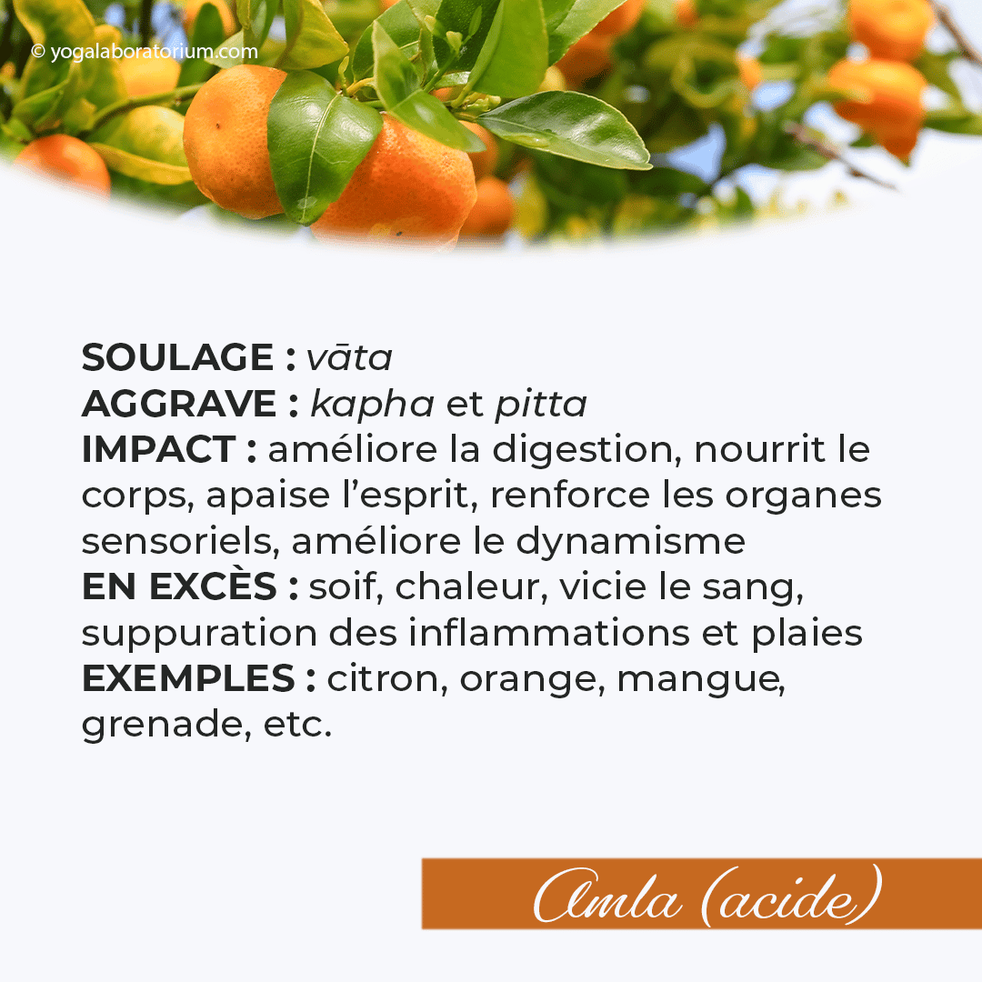 Ayurveda - le gout acide