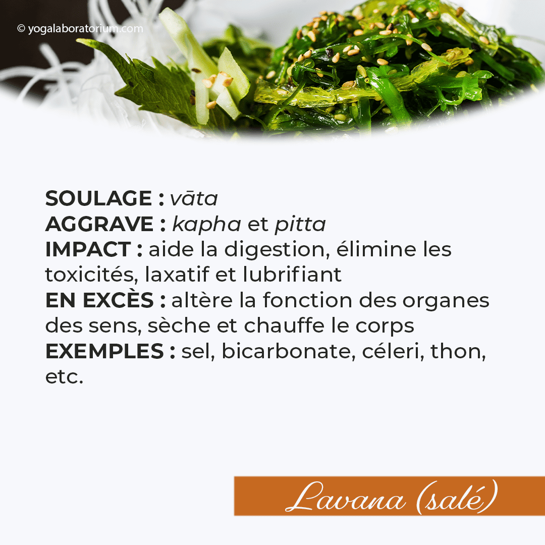 Ayurveda - le gout salé