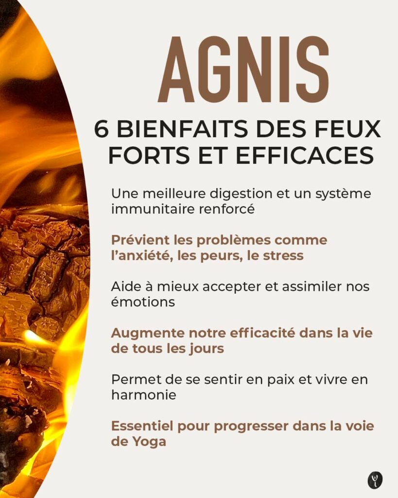 Les bienfaits des agnis (les feux digestifs)
